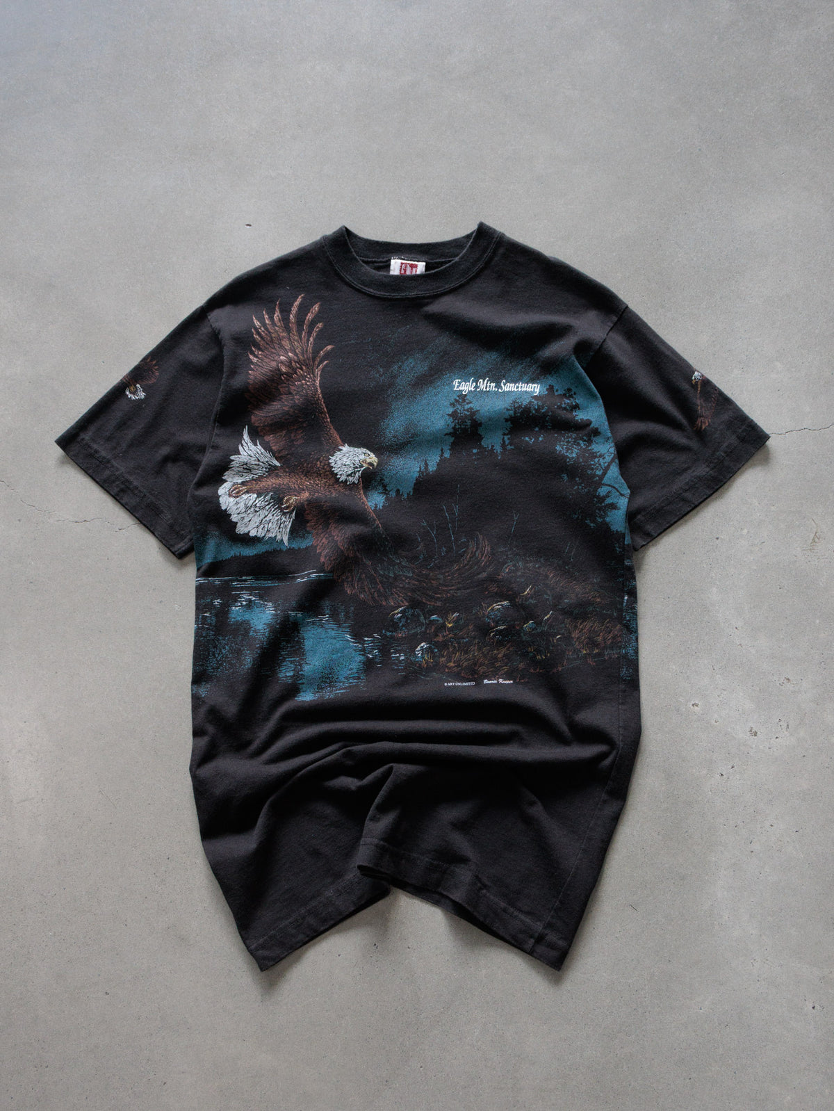 Vintage 90s Black Bald Eagle Tee (M)