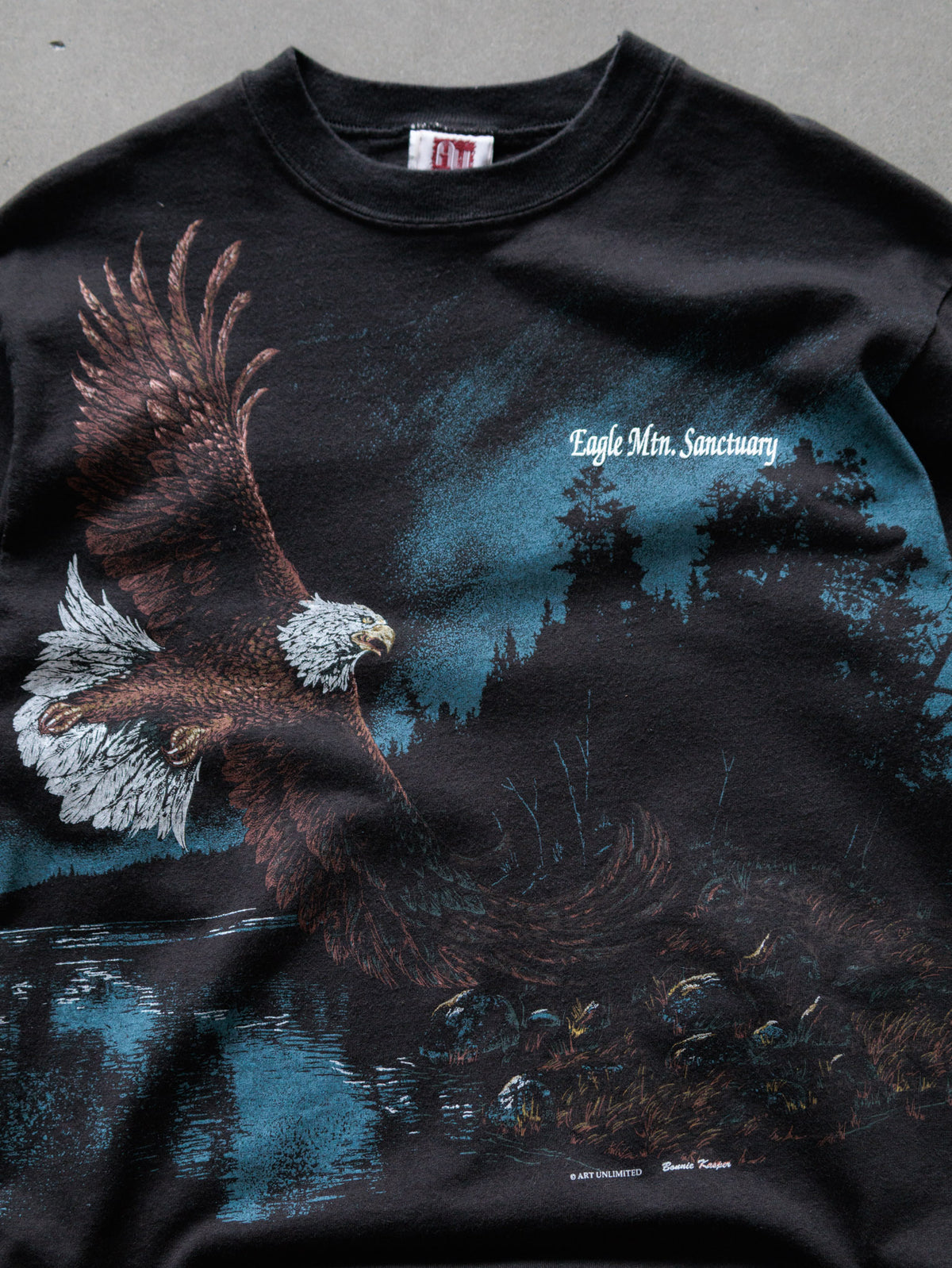 Vintage 90s Black Bald Eagle Tee (M)
